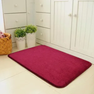 Convenient Non Slip Dirt Trapper Indoor Super Absorbent Doormat