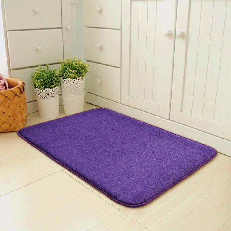 Convenient Non Slip Dirt Trapper Indoor Super Absorbent Doormat