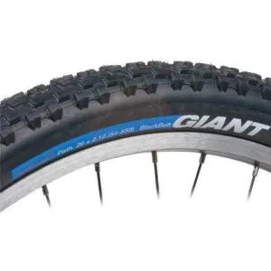 FlatGuard Mountain Bike Tire - 26 x 2.1"