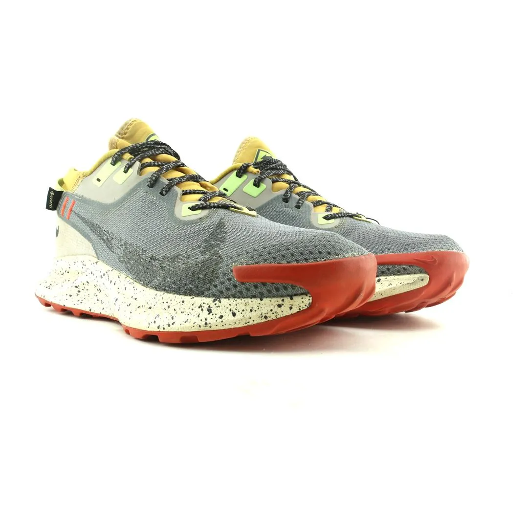 NIKE  PEGASUS TRAIL 2 GORE-TEX