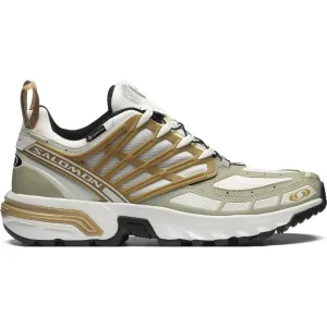 Salomon ACS PRO GTX Ici/Antel sneakers